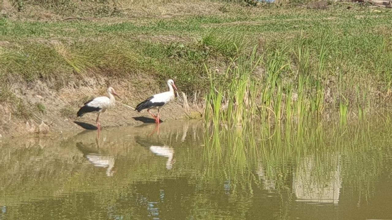 Domek Nad Stawem - Mazury Rozogi Zewnętrze zdjęcie